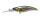 DD SILVER SHAD