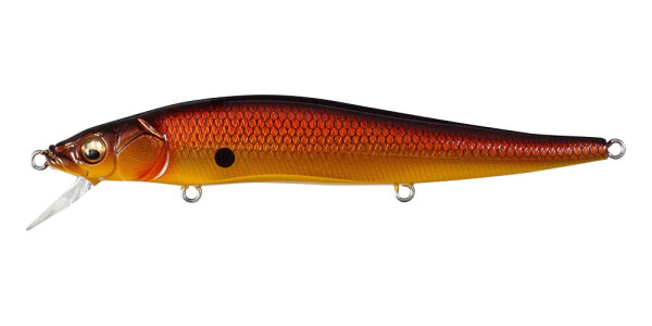 KOMORIN COPPER SHAD