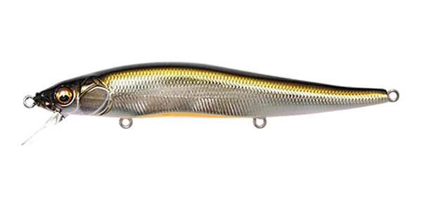 M STARDUST SHAD II