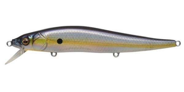 MEGABASS SEXY SHAD