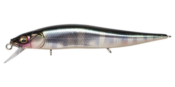 WAGIN HASU