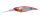 GP AURORA PINK BACK