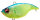 (RATTLE IN) BLUE BACK LIME