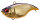 (RATTLE IN) M CHAMPAGNE KINKURO