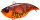 (RATTLE IN) WILD CRAW