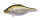 (RATTLE IN) GG BRILLIANT SHAD