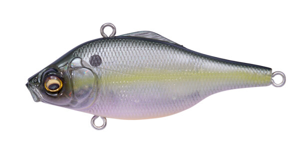 (RATTLE IN) GP MEGABASS SEXY SHAD II