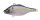 (RATTLE IN) GP MEGABASS SEXY SHAD II