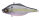 (RATTLE IN) GP MEGABASS SEXY SHAD II