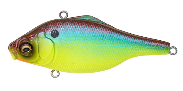 (RATTLE IN) MEGABASS BREAM