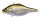 (SILENT) GG BRILLIANT SHAD