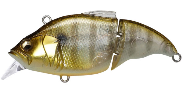 (SS) GP BABY GILL