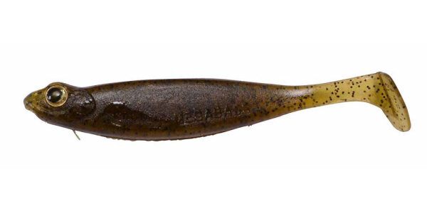 NUMA EBI