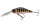 Pearl Ghost Perch