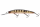 Pearl Ghost Perch