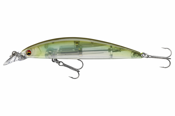 See Through Shad