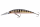 Pearl Ghost Perch