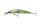 Green Flash Ghost