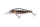 Pearl Ghost Perch