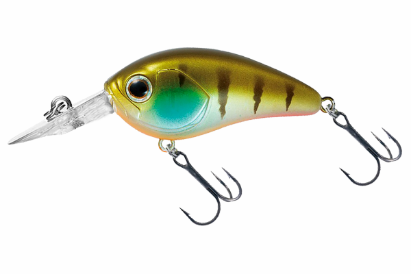 Ghost Gill