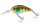 Ghost Gill