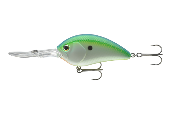 Citrus Shad