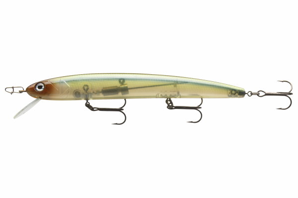Natural Ghost Shad