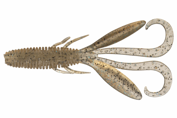Shrimp