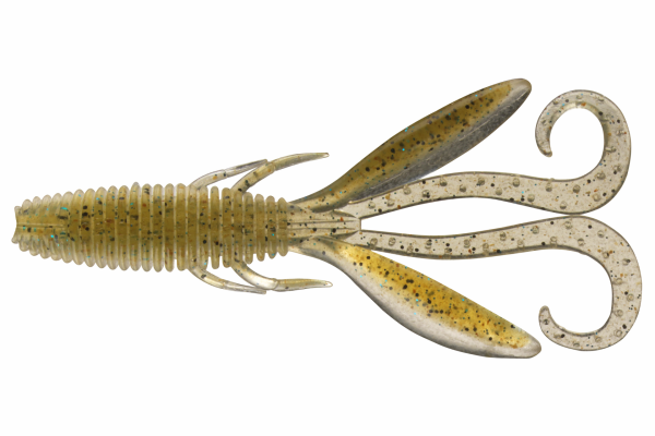 Lake Shrimp