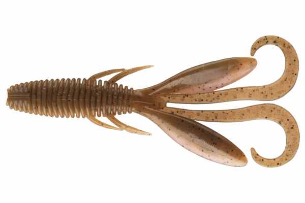 Molted Shrimp