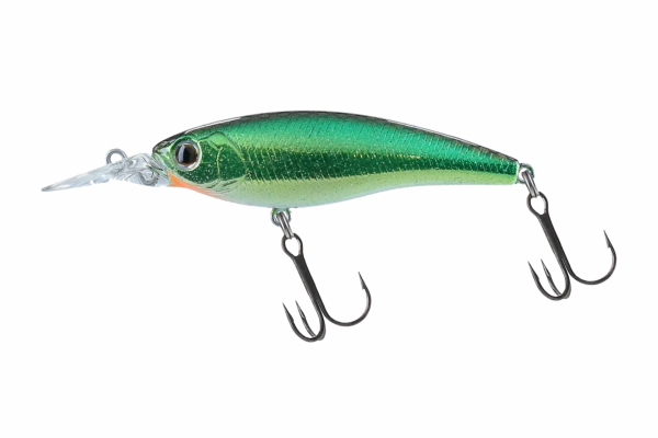 SG Wed Shad