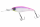 Matt Pink Purple