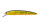 Crystal Gold H04