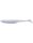 White Back Shad