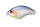 Blue Fish JDM COLOR F30