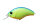 Chartreuse/Blue Back P07