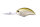 Ghost Minnow G01