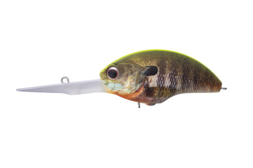 Mat Chart Back Real Gill RP07