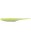 Chartreuse Shad