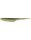Green Pumpkin Chartreuse
