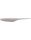 White Back Shad