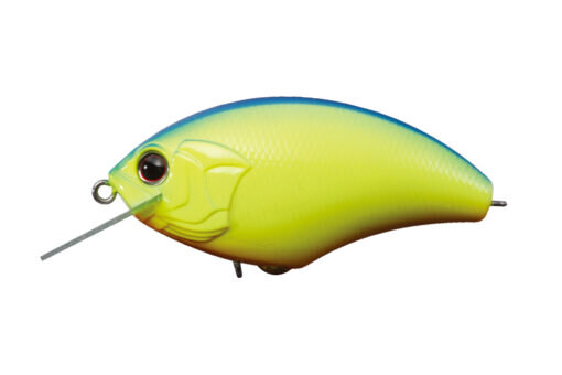 Chartreuse Blue Back P07