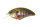 Mat Chart Back Real Gill RP07