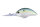 Blueback Herring OL21