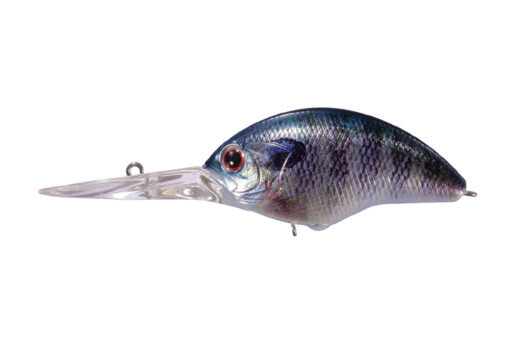 Real Blue Gill RPO45