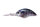 Real Blue Gill RPO45