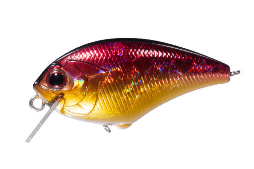 Gold Fire SH48
