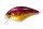 Gold Fire SH48