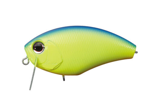 Chartreuse/Blue Back P07