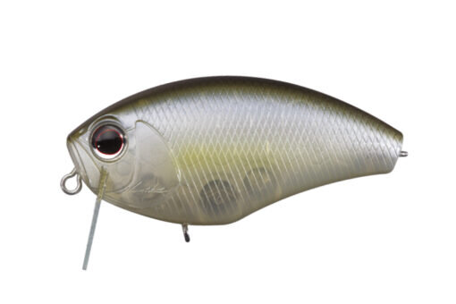 Tasty Shad P23